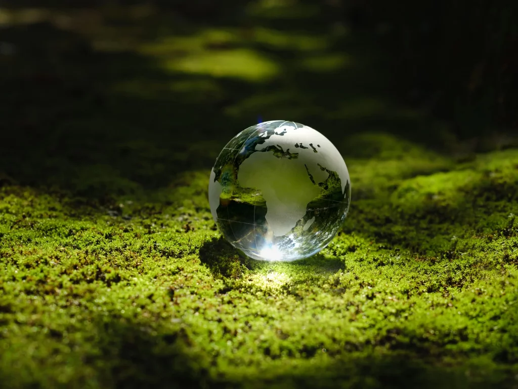 Planète en vers sur herbe verte, représente les démarches RSE