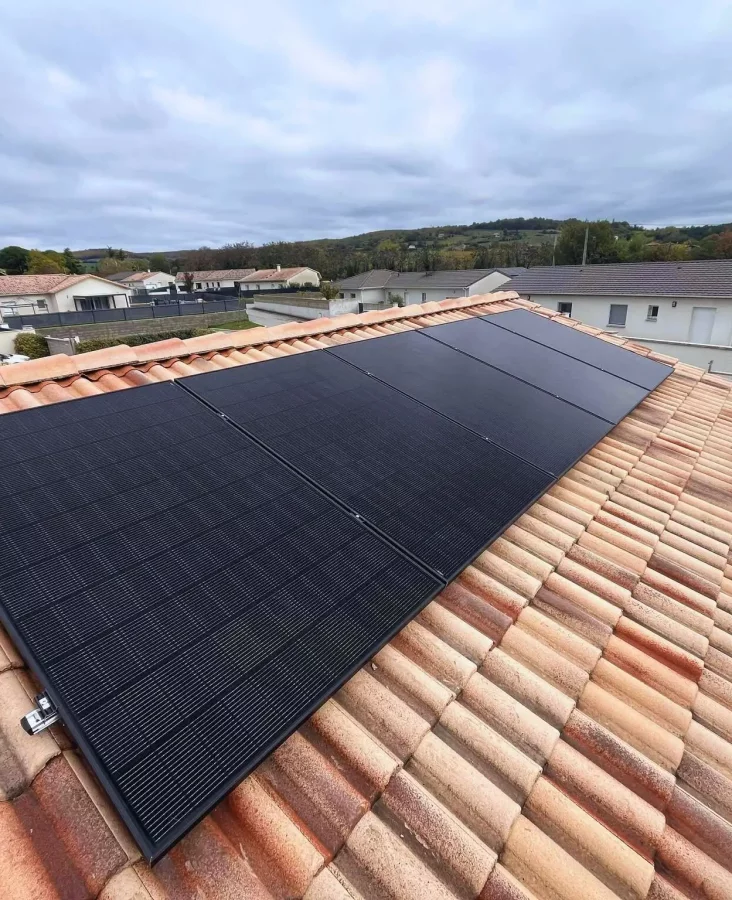 Cinq panneaux photovoltaïques noirs alignés sur la toiture d'une maison individuelle.